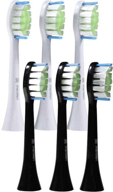 Meriden Brush Daily Care
